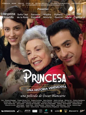 Постер: Princess, A True Story