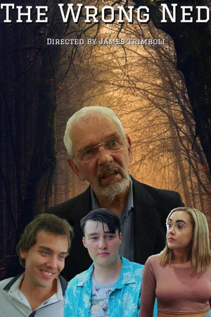 Постер: The Wrong Ned
