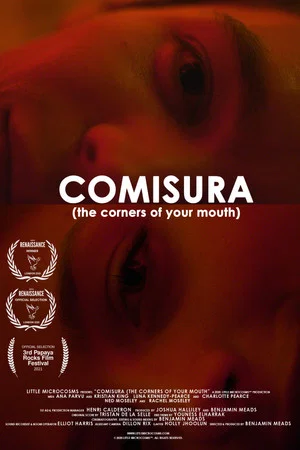 Постер: Comisura (The Corners of Your Mouth)