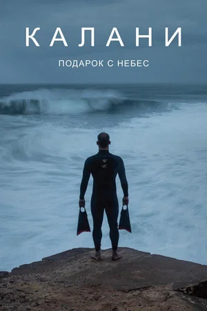 Постер: Калани: Подарок с небес