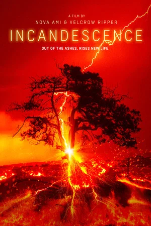 Постер: Incandescence