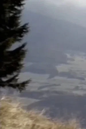 Постер: Der Gang auf den Berg