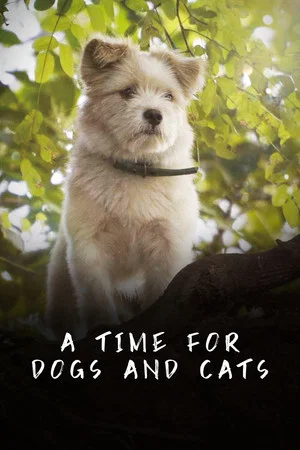 Постер: A Time for Dogs and Cats