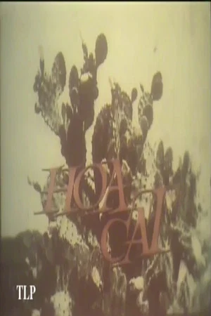 Постер: Hoa Cát