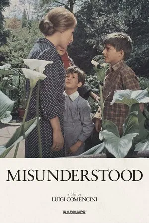 Постер: Misunderstood