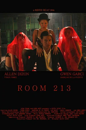 Постер: Room 213