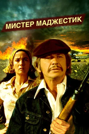 Постер: Мистер Маджестик