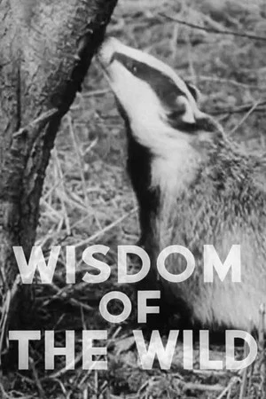 Постер: Wisdom of the Wild