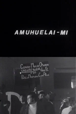 Постер: Amuhuelai-mi