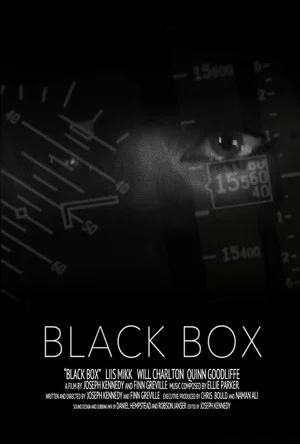 Постер: Black Box