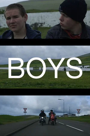 Постер: Boys