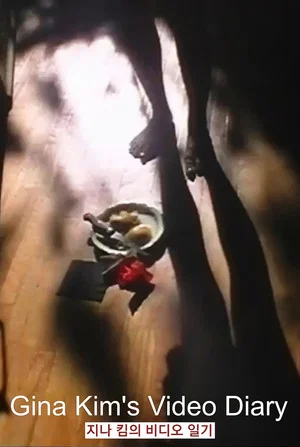 Постер: Gina Kim’s Video Diary