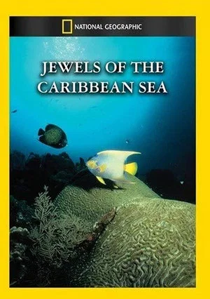 Постер: Jewels of the Caribbean Sea