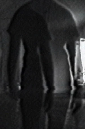 Постер: Double Vision