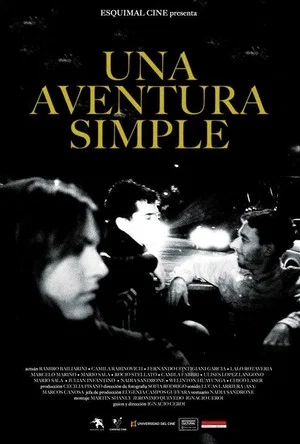 Постер: A Simple Adventure