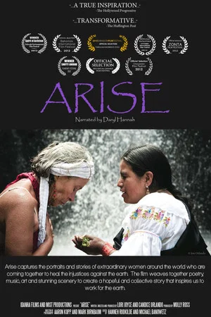 Постер: Arise
