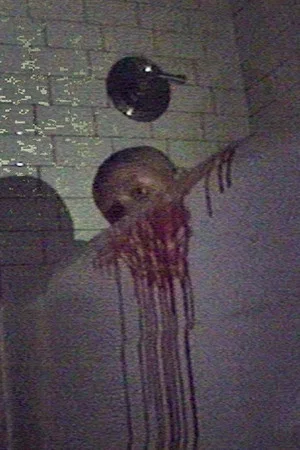 Постер: the ghost house