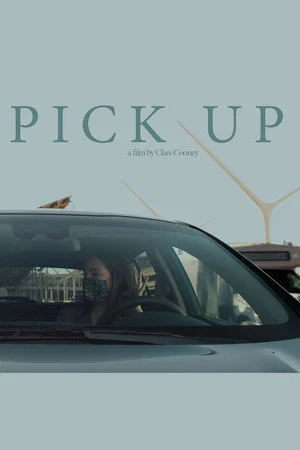 Постер: Pick Up
