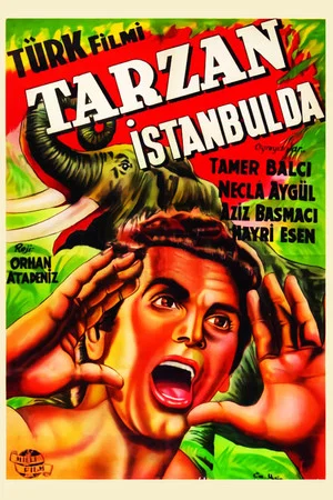 Постер: Tarzan in Istanbul
