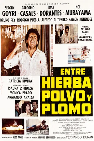 Постер: Entre Hierba, Polvo y Plomo