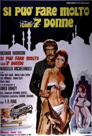 Постер: You Can Do a Lot with 7 Women