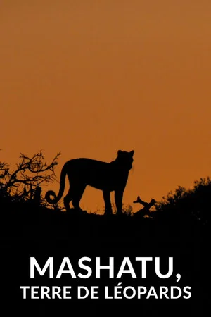 Постер: Mashatu: Land of Leopards