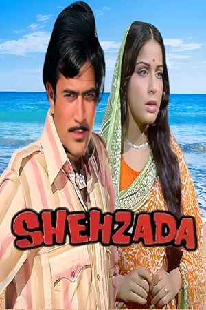 Постер: Shehzada