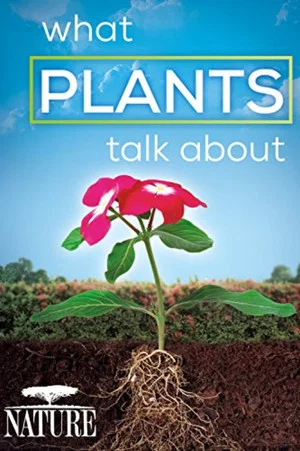 Постер: What Plants Talk About