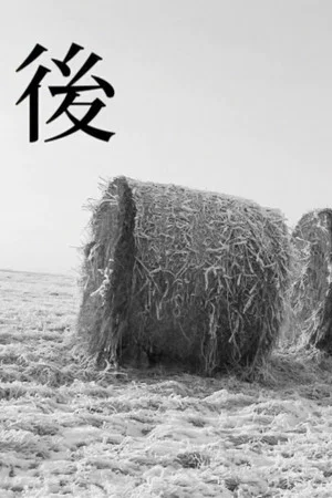 Постер: После
