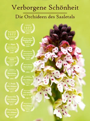 Постер: Hidden Beauty - The Orchids of the Saale Valley