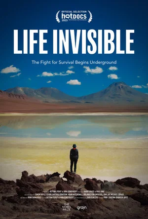 Постер: Life Invisible
