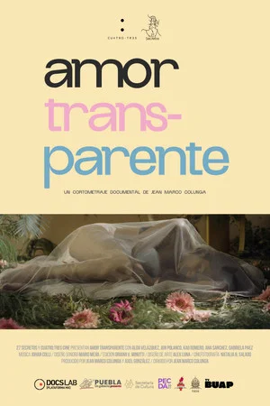 Постер: TransParent Love