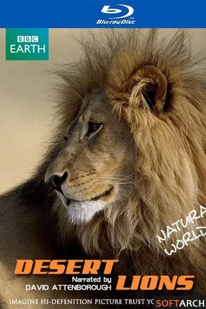 Постер: Desert Lions