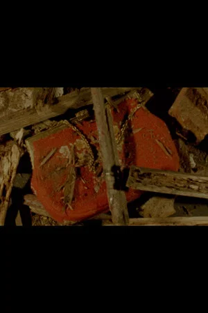 Постер: The Red Purse