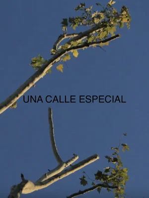 Постер: Una Calle Especial