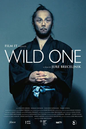 Постер: Wild One