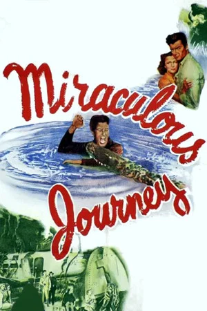 Постер: Miraculous Journey
