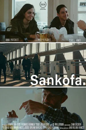 Постер: Sankofa.