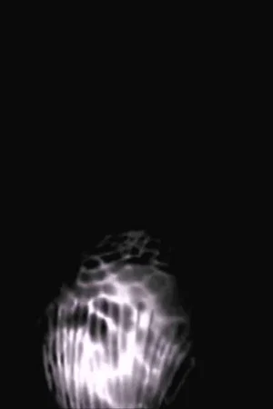 Постер: Deluge