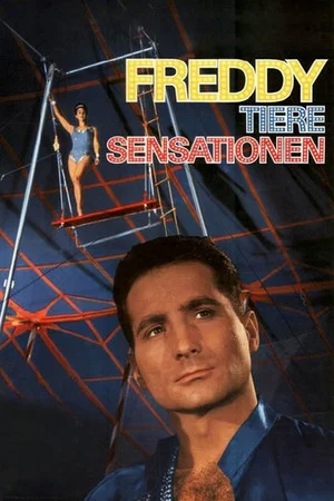 Постер: Freddy, Tiere, Sensationen