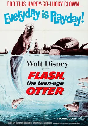 Постер: Flash, The Teenage Otter