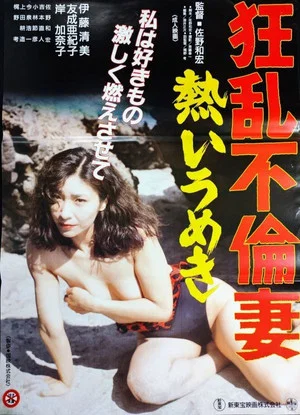 Постер: Mad Affair: Promiscuous Wife
