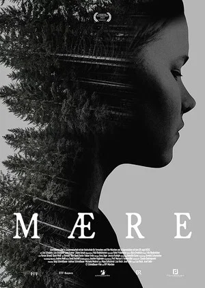 Постер: Mære