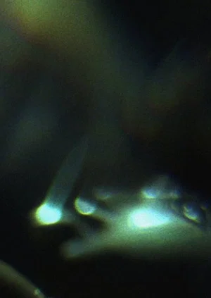 Постер: Prisms