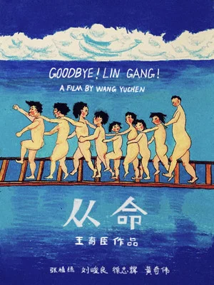 Постер: Goodbye! Lin Gang!