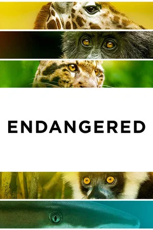 Постер: Endangered