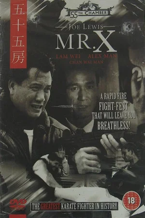 Постер: Mr. X