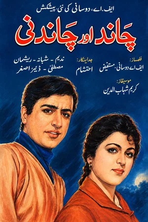 Постер: Chand Aur Chandni