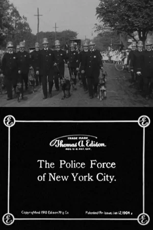 Постер: The Police Force of New York City