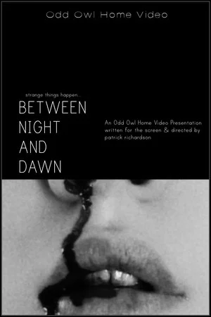 Постер: Between Night And Dawn